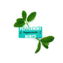 MINTS: ENGLISH PEPPERMINT XYLITOL MINTS - 12 X 15G POCKET PACKS
