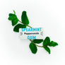 GUM: ENGLISH SPEARMINT XYLITOL GUM - 12 X 15G POCKET PACKS