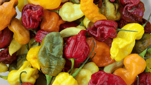 Bright colourful Vegan snacks