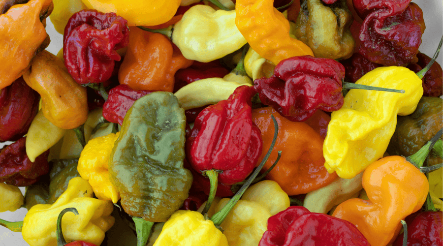 Peppersmith HQ's favourite accidentally vegan items