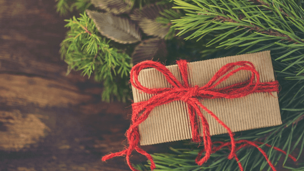 A present wrapped in sustainable wrapping paper and tied with a bow next to a Christmas tree