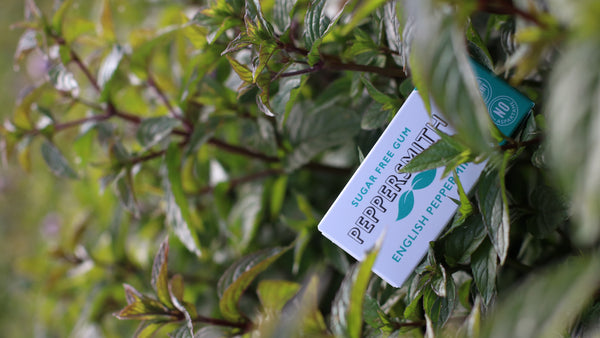 chewing gum natural flavours