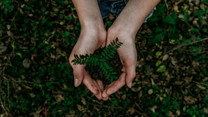 hand holding dirt