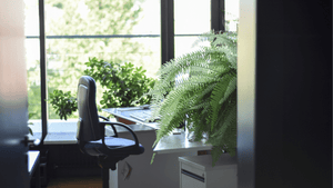 A office desk in sunlight surrounded with plants. 