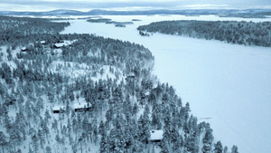 A snowy Forest in Finland 
