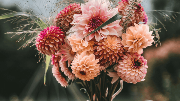 A bunch of Flowers