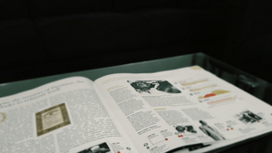 An Article 