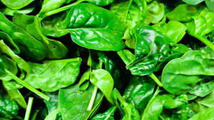 A bunch of Spinach 