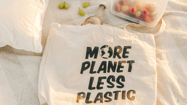A photo on a beach with a printed tote bag saying ' More Planet Less Plastic'