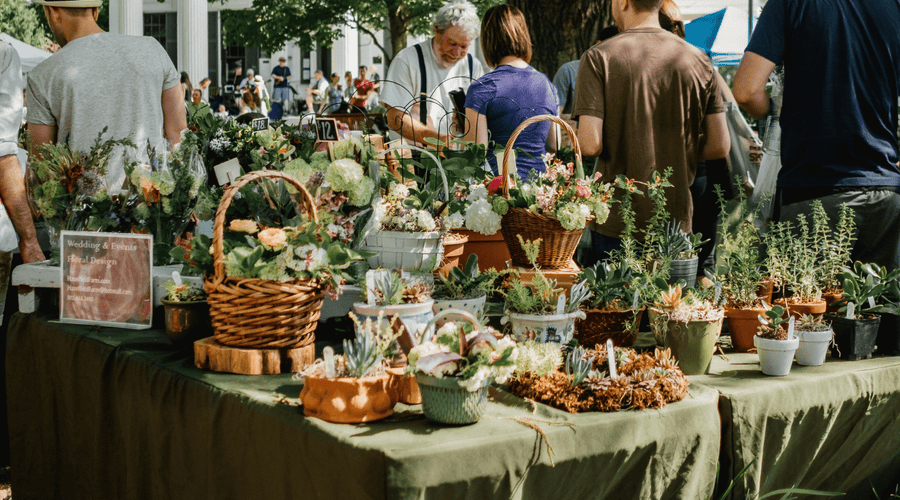 The best health and foodie festivals of 2019
