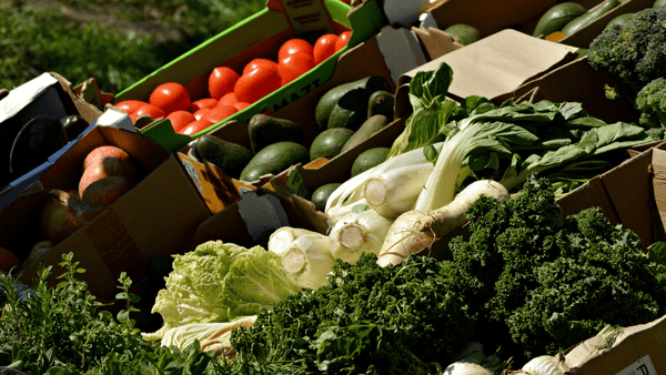 Lots of different Fruit & Veg in farmers boxes