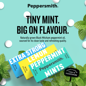 Mixed Box: Mixed Xylitol Mints - 12 x 15g Pocket Packs