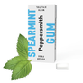 GUM: ENGLISH SPEARMINT XYLITOL GUM - 12 X 15G POCKET PACKS
